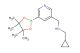 1-cyclopropyl-N-((5-(4,4,5,5-tetramethyl-1,3,2-dioxaborolan-2-yl)pyridin-3-yl)methyl)methanamine