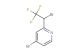 4-bromo-2-(1-bromo-2,2,2-trifluoroethyl)pyridine