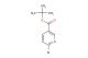 tert-butyl 6-bromonicotinate