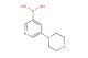 5-morpholinopyridin-3-ylboronic acid