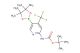 tert-butyl 5-(4,4,5,5-tetramethyl-1,3,2-dioxaborolan-2-yl)-4-(trifluoromethyl)pyridin-2-ylcarbamate