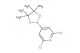 2,6-dichloro-4-(4,4,5,5-tetramethyl-1,3,2-dioxaborolan-2-yl)pyridine