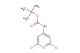 tert-butyl 2,6-dichloropyridin-4-ylcarbamate