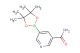 5-(4,4,5,5-tetramethyl-1,3,2-dioxaborolan-2-yl)nicotinamide