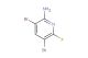 3,5-dibromo-6-fluoropyridin-2-amine
