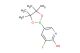 3-fluoro-5-(4,4,5,5-tetramethyl-1,3,2-dioxaborolan-2-yl)pyridin-2-ol