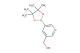 (5-(4,4,5,5-tetramethyl-1,3,2-dioxaborolan-2-yl)pyridin-3-yl)methanol