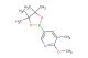 2-methoxy-3-methyl-5-(4,4,5,5-tetramethyl-[1,3,2]dioxaborolan-2-yl)-pyridine