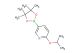 2-isopropoxy-5-(4,4,5,5-tetramethyl-[1,3,2]dioxaborolan-2-yl)-pyridine