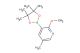 2-methoxy-5-methyl-3-(4,4,5,5-tetramethyl-1,3,2-dioxaborolan-2-yl)pyridine