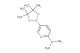 N,N-dimethyl-5-(4,4,5,5-tetramethyl-1,3,2-dioxaborolan-2-yl)pyridin-2-amine