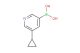 5-cyclopropylpyridin-3-ylboronic acid