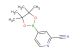 4-(4,4,5,5-tetramethyl-1,3,2-dioxaborolan-2-yl)picolinonitrile