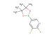2,3-difluoro-5-(4,4,5,5-tetramethyl-1,3,2-dioxaborolan-2-yl)pyridine