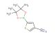 5-(4,4,5,5-tetramethyl-1,3,2-dioxaborolan-2-yl)thiophene-3-carbonitrile