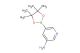 5-(4,4,5,5-tetramethyl-[1,3,2]dioxaborolan- 2-yl)-pyridin-3-ylamine