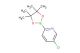 5-chloro-2-(4,4,5,5-tetramethyl-1,3,2-dioxaborolan -2-yl)pyridine