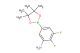 2,3-difluoro-5-(4,4,5,5-tetramethyl-1,3,2-dioxaborolan-2-yl)aniline