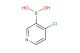4-chloro-3-pyridine boronic acid