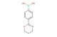 4-(5,6-dihydro-4H-1,3-oxazin-2-yl)benzeneboronic acid