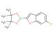 2-(6-fluorobenzofuran-2-yl)-4,4,5,5-tetramethyl-1,3,2-dioxaborolane