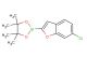 2-(6-chlorobenzofuran-2-yl)-4,4,5,5-tetramethyl-1,3,2-dioxaborolane