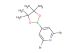 2,6-dibromo-4-(4,4,5,5-tetramethyl-1,3,2-dioxaborolan-2-yl)pyridine