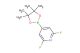 2,6-difluoro-4-(4,4,5,5-tetramethyl-1,3,2-dioxaborolan-2-yl)pyridine