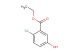ethyl 2-chloro-5-hydroxybenzoate