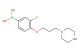 3-fluoro-4-(3-(piperazin-1-yl)propoxy)phenylboronic acid