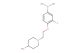 3-fluoro-4-(2-(4-hydroxypiperidin-1-yl)ethoxy)phenylboronic acid