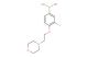 3-fluoro-4-(2-morpholinoethoxy)phenylboronic acid