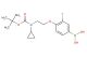 4-(2-(tert-butoxycarbonyl(cyclopropyl)amino)ethoxy)-3-fluorophenylboronic acid