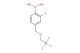 (2-fluoro-4-((2,2,2-trifluoroethoxy)methyl)phenyl)boronic acid