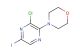 4-(3-chloro-5-iodopyrazin-2-yl)morpholine
