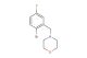 4-(2-bromo-5-fluorobenzyl)morpholine