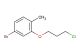4-bromo-2-(3-chloropropoxy)-1-methylbenzene