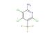 3,4,6-trichloro-5-(trifluoromethyl)pyridin-2-amine