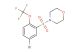 4-((5-bromo-2-(trifluoromethoxy)phenyl)sulfonyl)morpholine