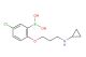 5-chloro-2-(3-(cyclopropylamino)propoxy)phenylboronic acid