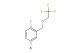 4-bromo-1-fluoro-2-((2,2,2-trifluoroethoxy)methyl)benzene
