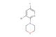 4-(3-bromo-5-fluoropyridin-2-yl)morpholine