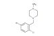 1-(5-bromo-2-chlorobenzyl)-4-methylpiperazine