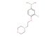 (3-chloro-4-(2-morpholinoethoxy)phenyl)boronic acid