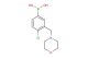 (4-chloro-3-(morpholinomethyl)phenyl)boronic acid