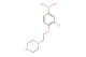 (3-chloro-4-(2-(piperazin-1-yl)ethoxy)phenyl)boronic acid
