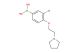 (3-chloro-4-(2-(pyrrolidin-1-yl)ethoxy)phenyl)boronic acid