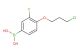 (4-(3-chloropropoxy)-3-fluorophenyl)boronic acid