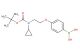 (4-(2-((tert-butoxycarbonyl)(cyclopropyl)amino)ethoxy)phenyl)boronic acid