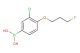 (3-chloro-4-(3-fluoropropoxy)phenyl)boronic acid